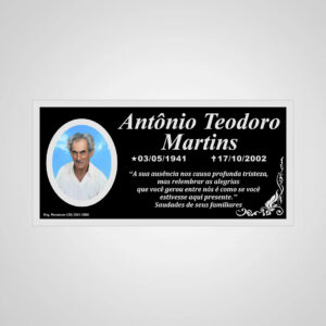 PLACA ACM 01