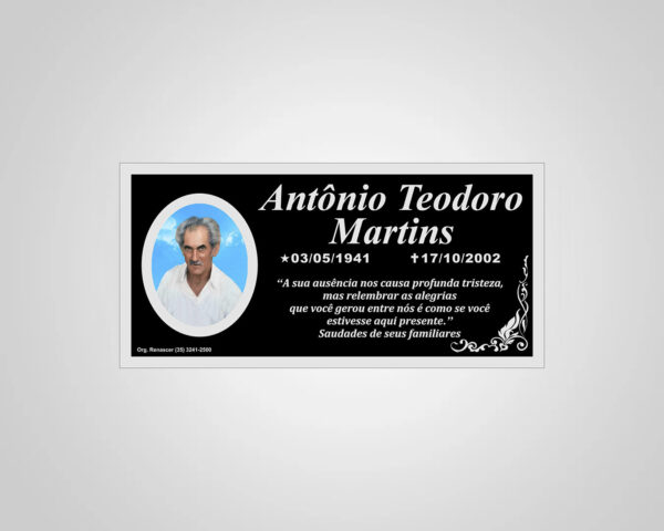 PLACA ACM 01