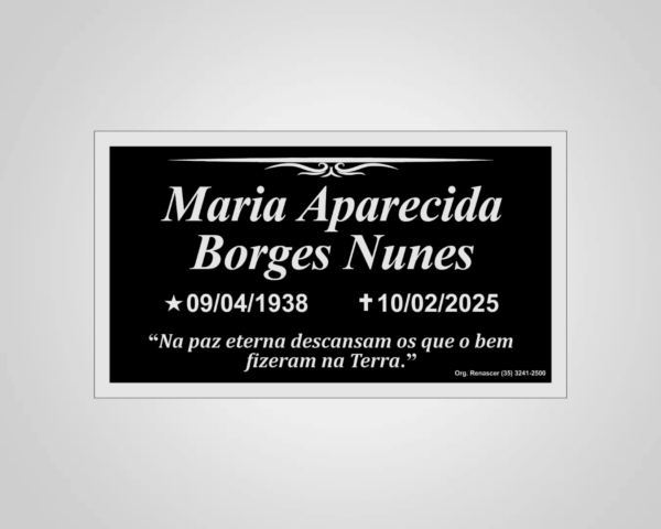 PLACA ACM 13