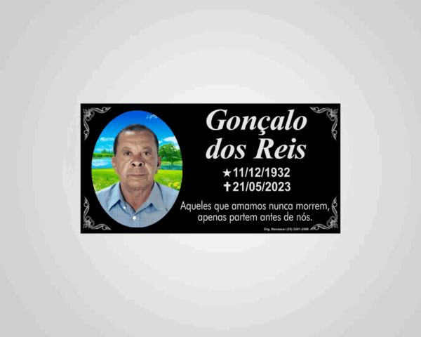 PLACA ACM 18