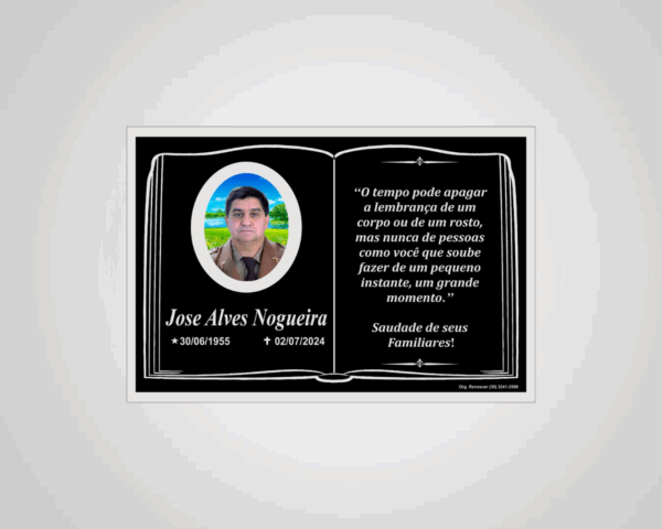 PLACA ACM 19