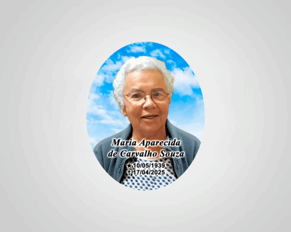 PLACA PORCELANA 07