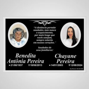 PLACA ACM 02
