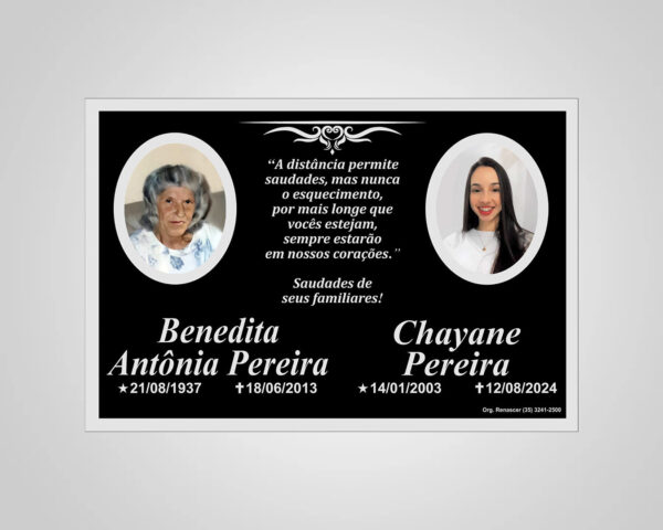 PLACA ACM 02