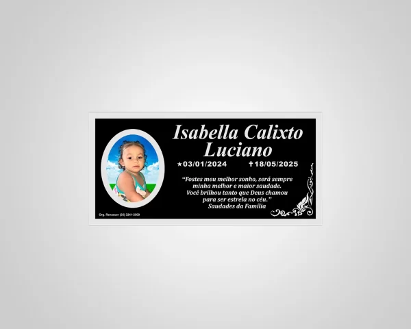 PLACA ACM 07