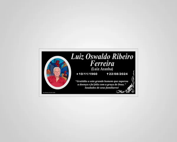 PLACA ACM 10