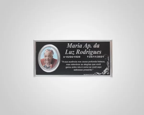 PLACA ACM 12